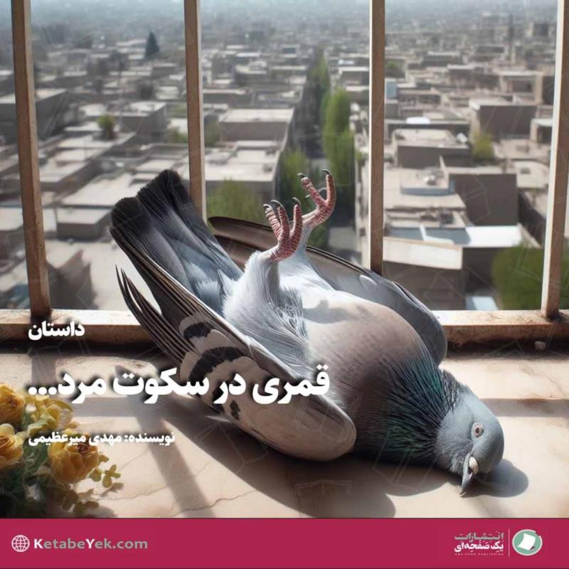 قمری در سکوت مرد